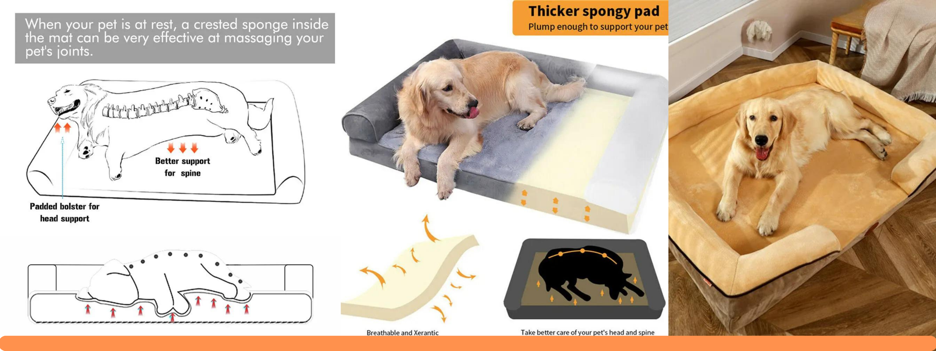 How to Choose the Perfect Bed for Your Dog