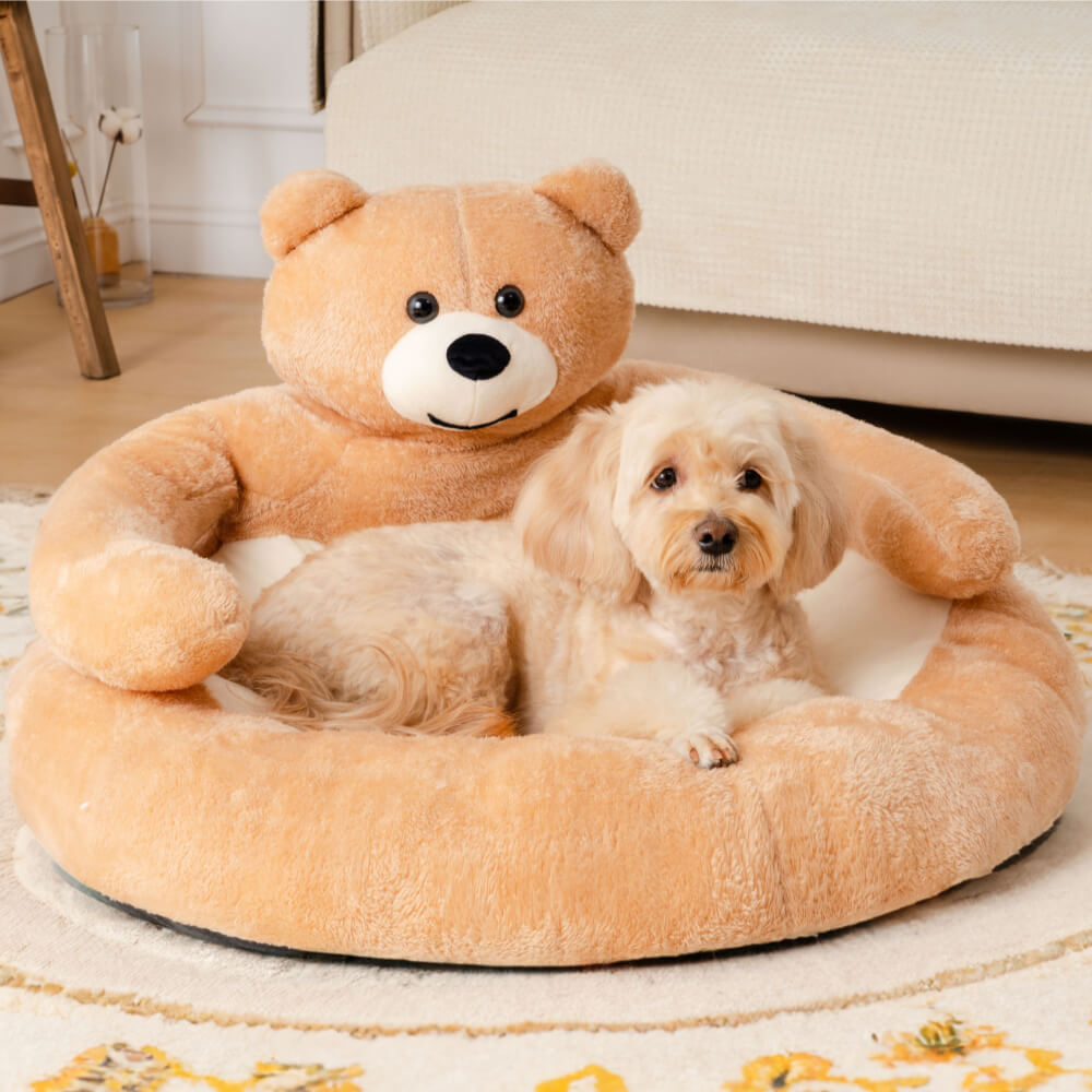 Cute Detachable Cuddle Bear Cat Bed - MP