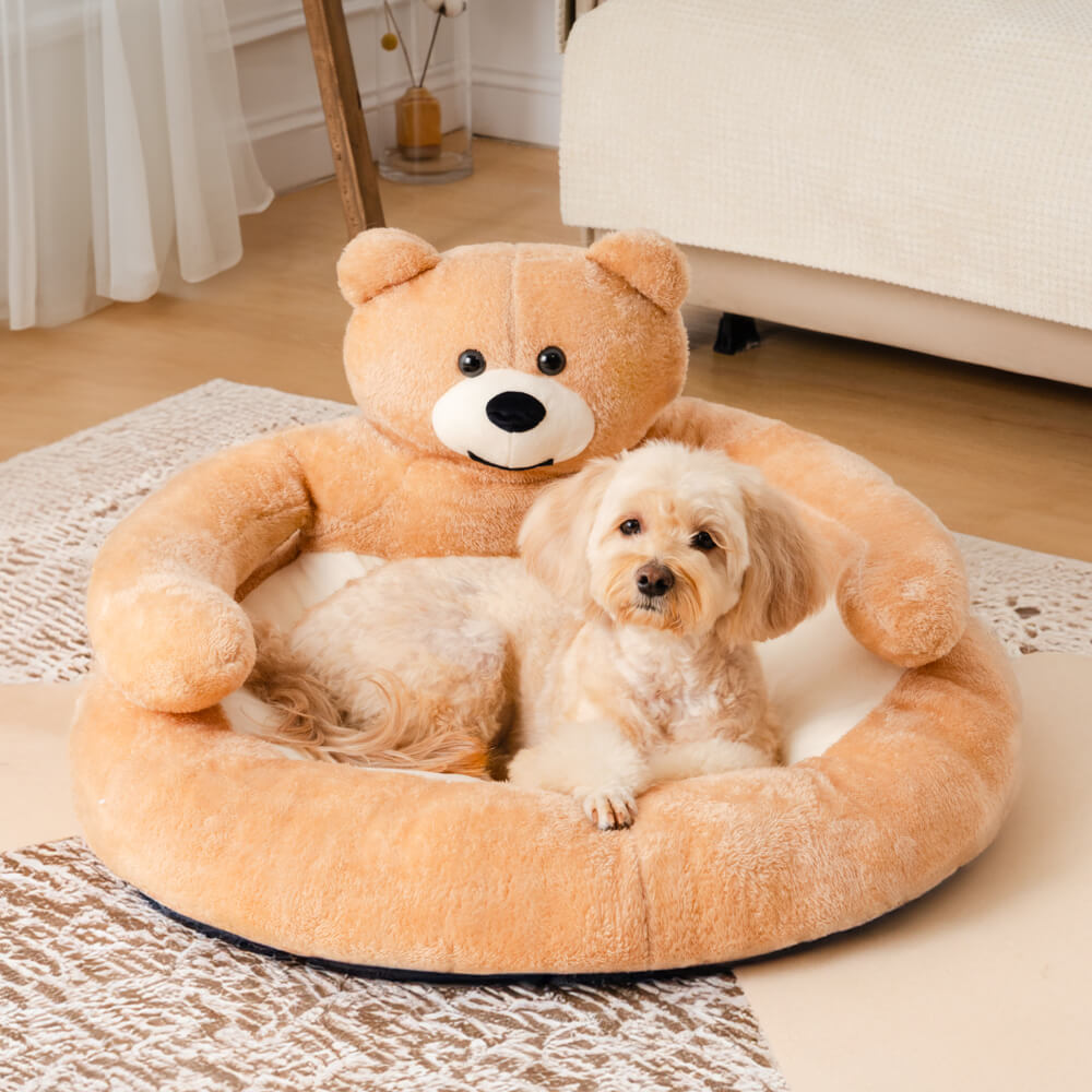 Cute Detachable Cuddle Bear Cat Bed - MP