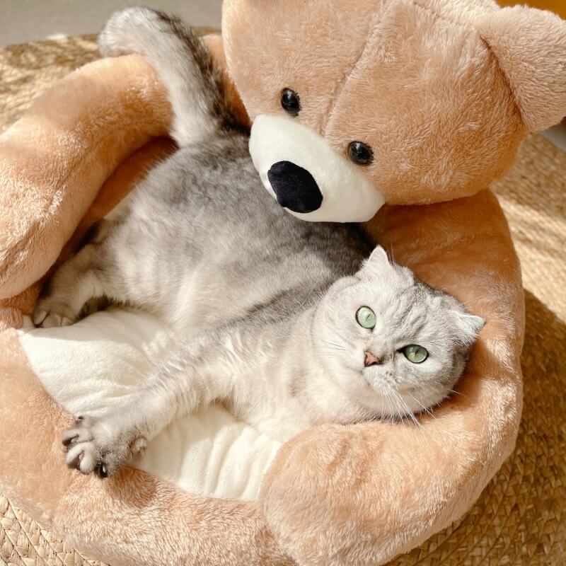 Cute Detachable Cuddle Bear Cat Bed - MP