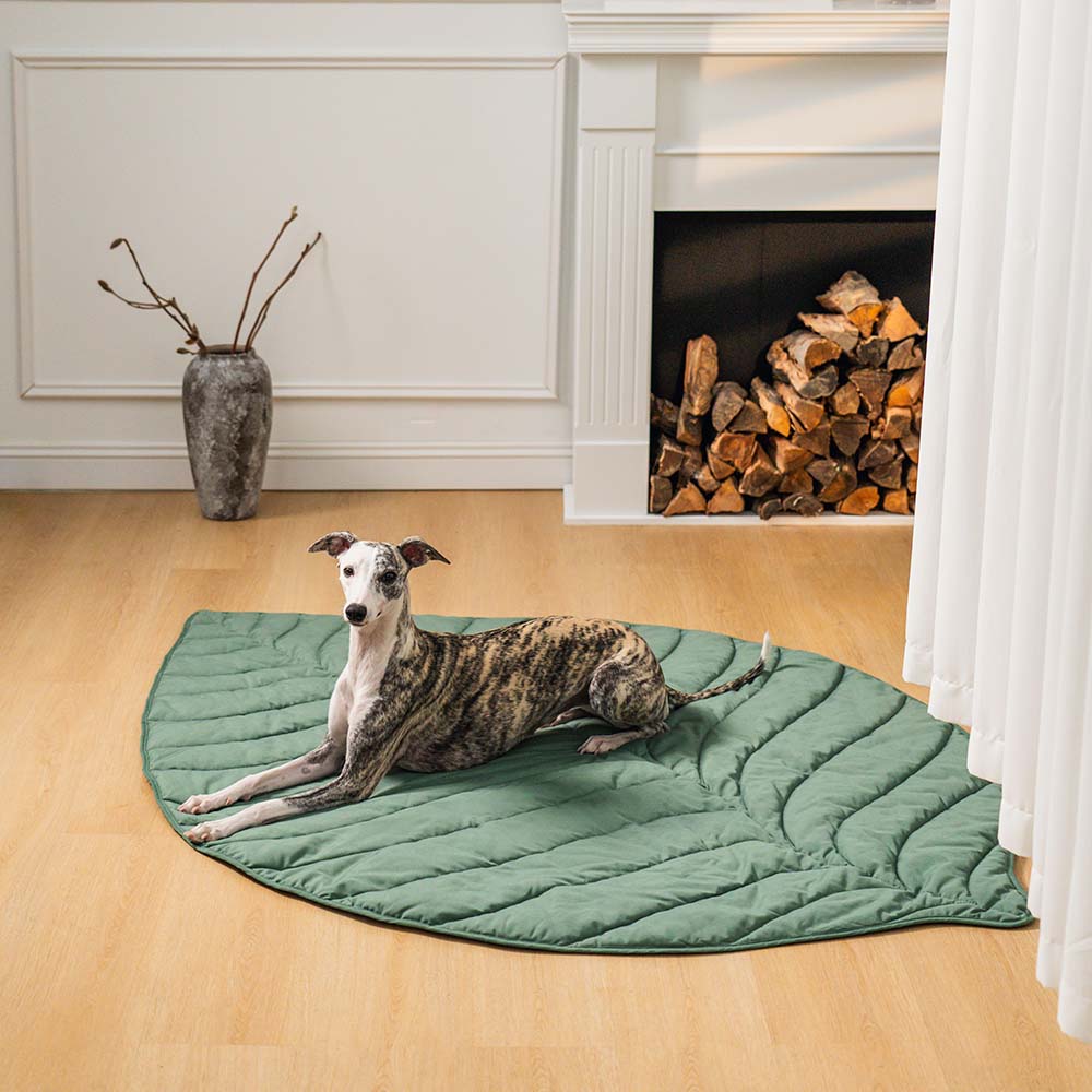 Pet bed Leaf print  - lounge rug Middlepet™