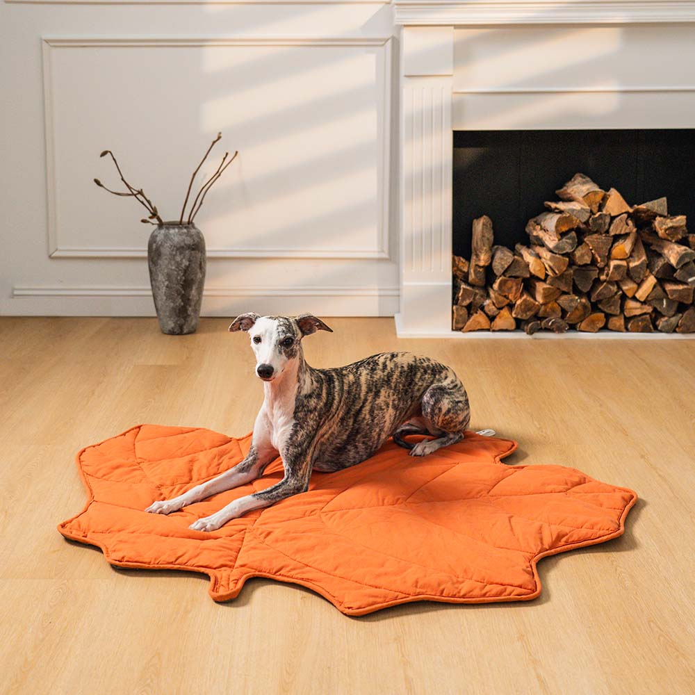 Pet bed Leaf print  - lounge rug Middlepet™