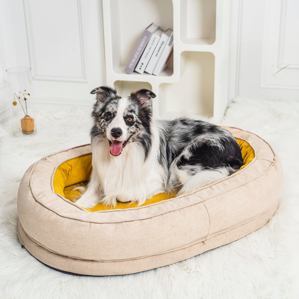 Dog Bed - Donut - MP