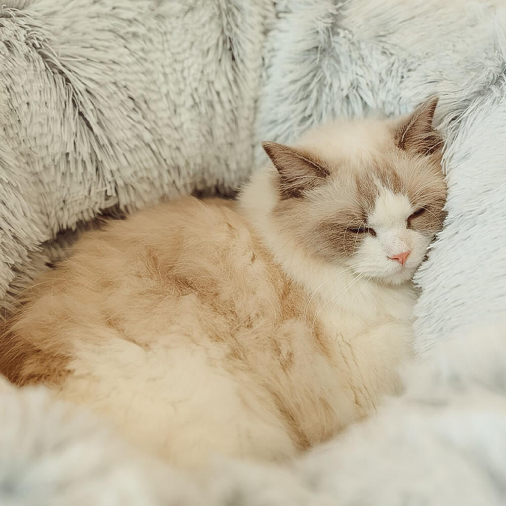 MIDDLEPET™ Donut Shaped Tunnel Cat Bed - MP