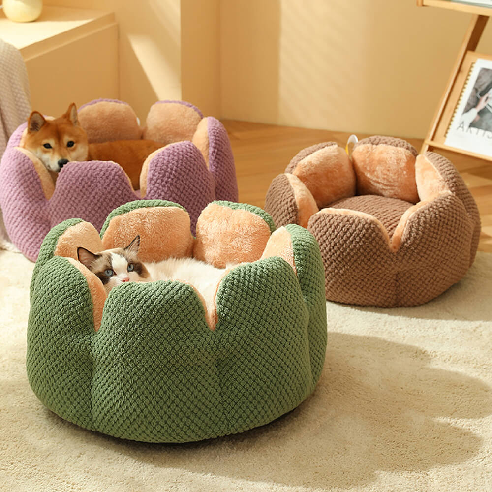 Pet Bed - Cactus Middlepet™ - MP