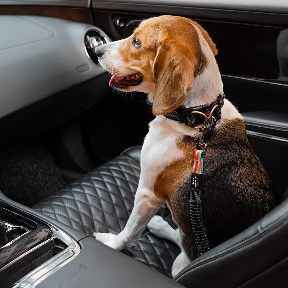 Adjustable Dog Car Seat Belt Middlepet™ - MP