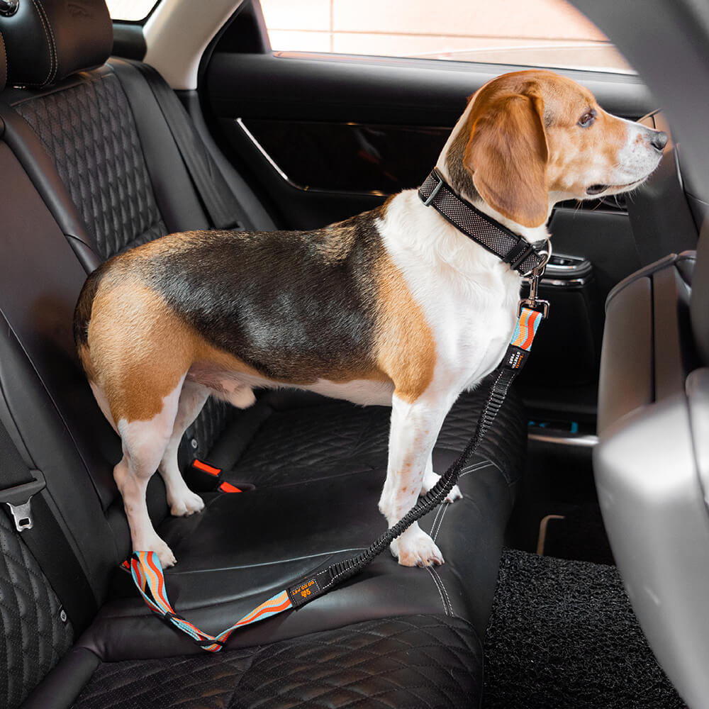 Adjustable Dog Car Seat Belt Middlepet™ - MP