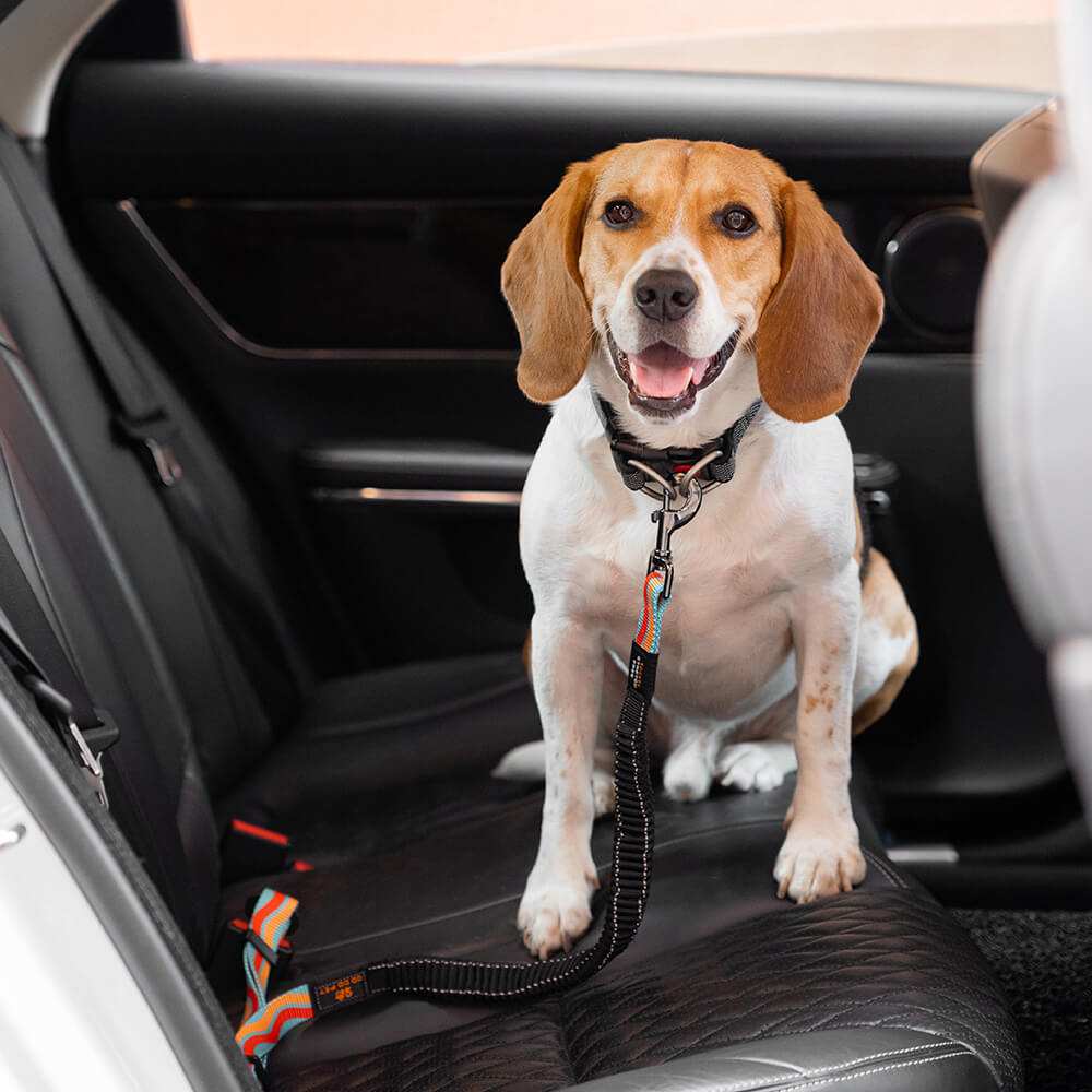 Adjustable Dog Car Seat Belt Middlepet™ - MP