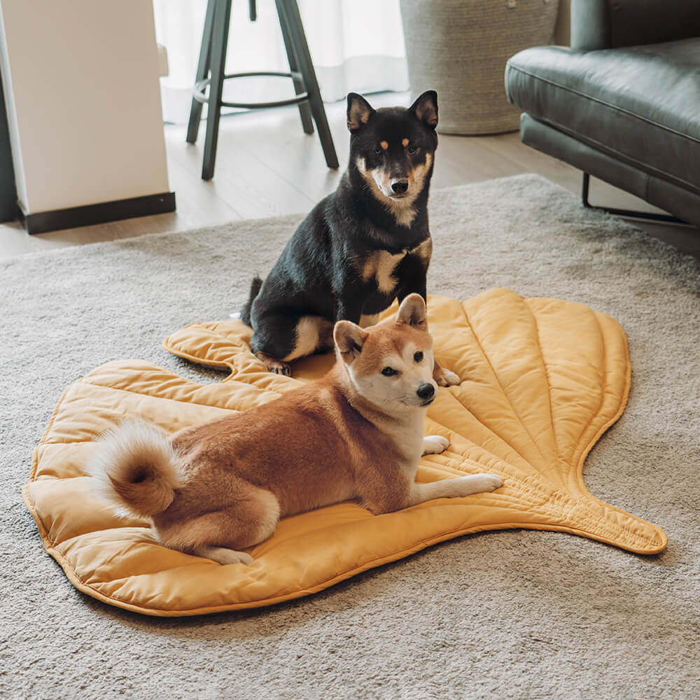 Pet bed Leaf print  - lounge rug Middlepet™