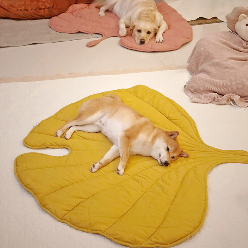 Pet bed Leaf print  - lounge rug Middlepet™