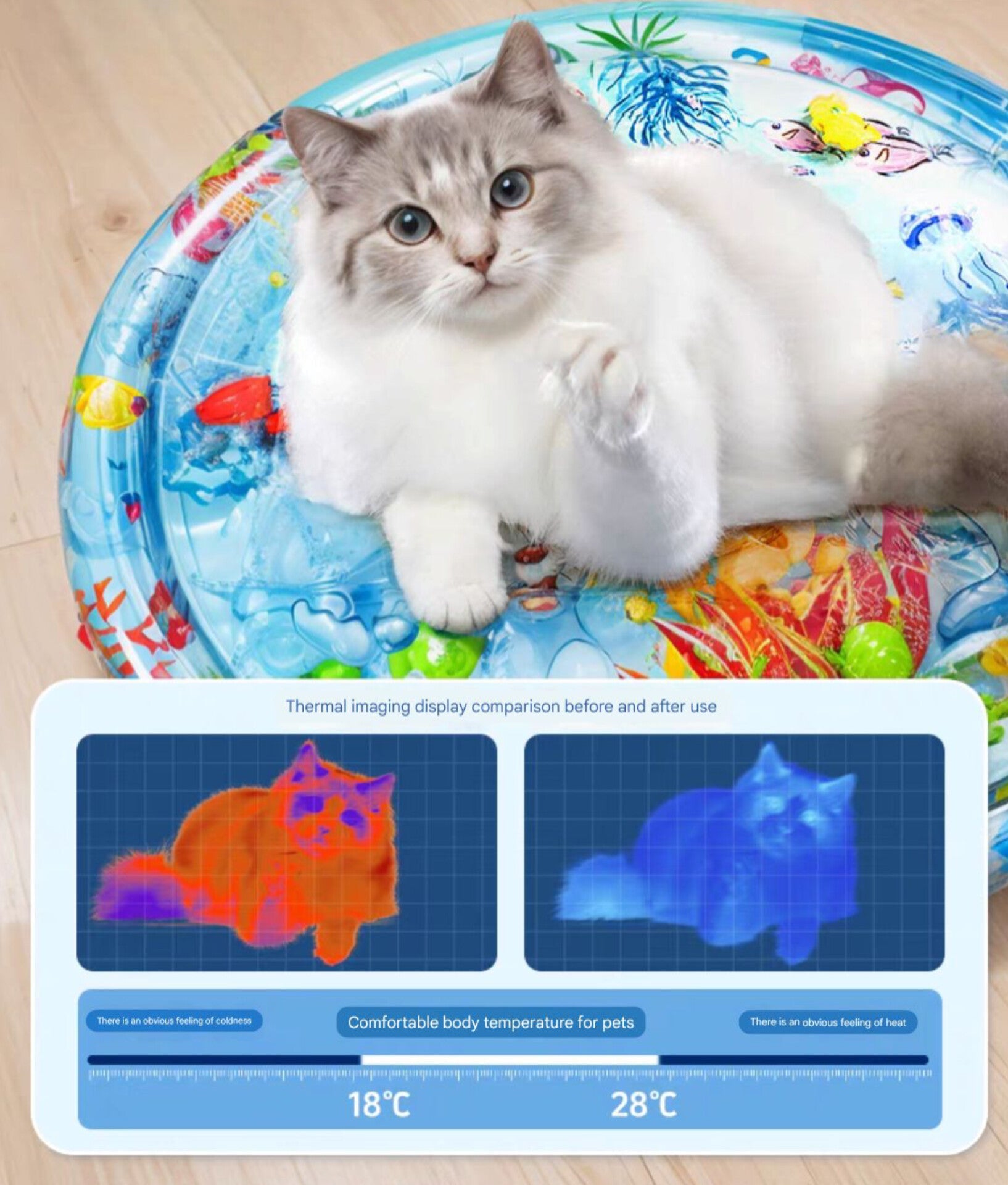 Sensory Water Play Mat for Pets Middlepet™