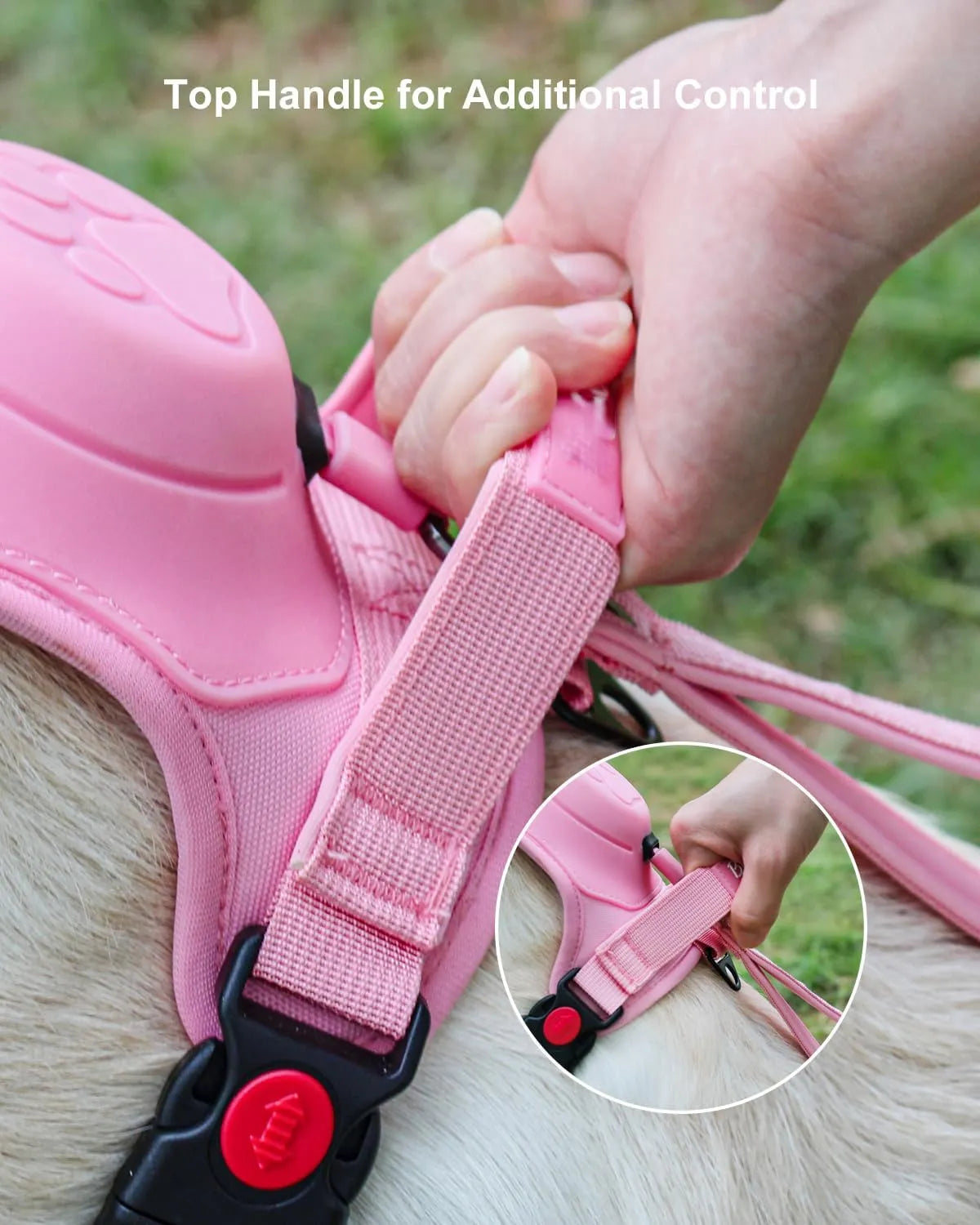 Adjustable Dog Harnesses with Extendable Leash by Middlepet™ - MP