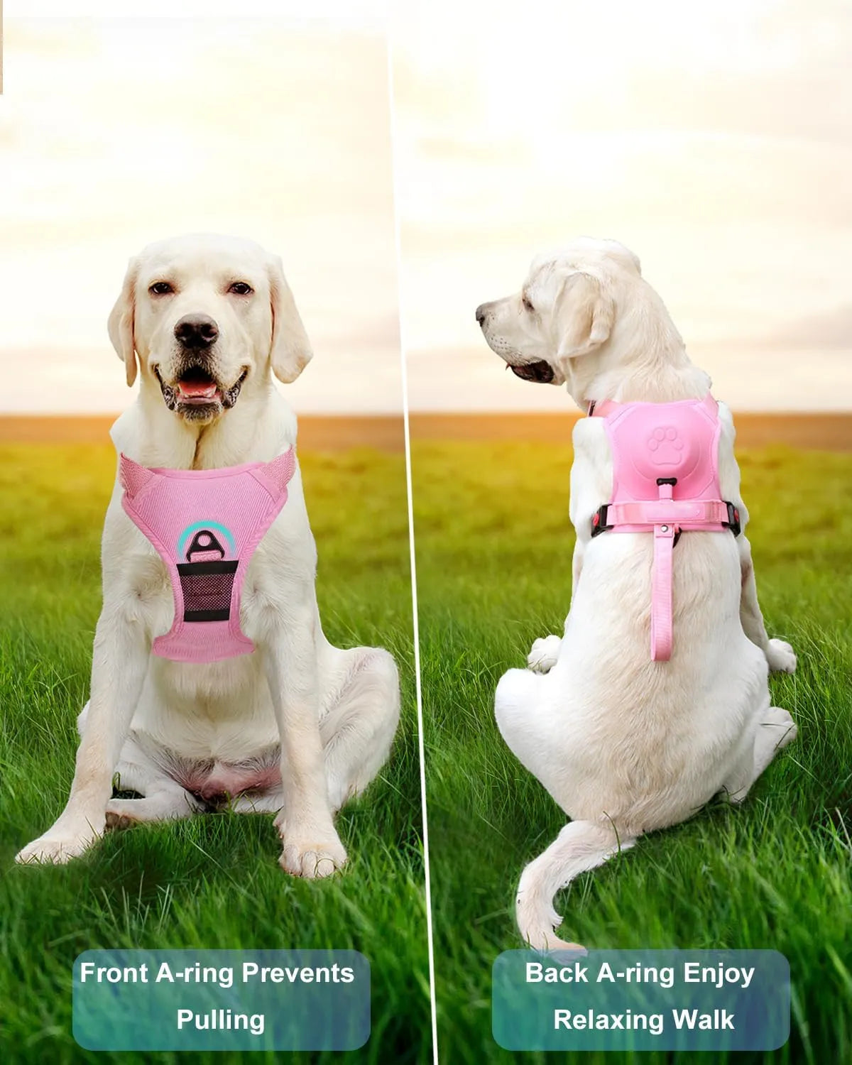 Adjustable Dog Harnesses with Extendable Leash by Middlepet™ - MP