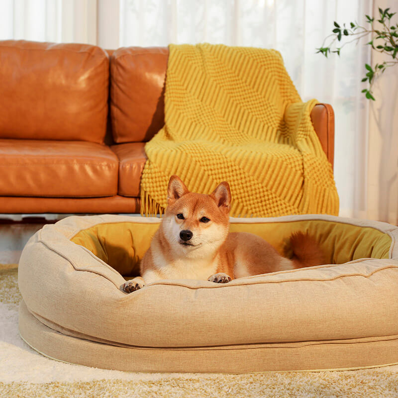 Dog Bed - Donut - MP