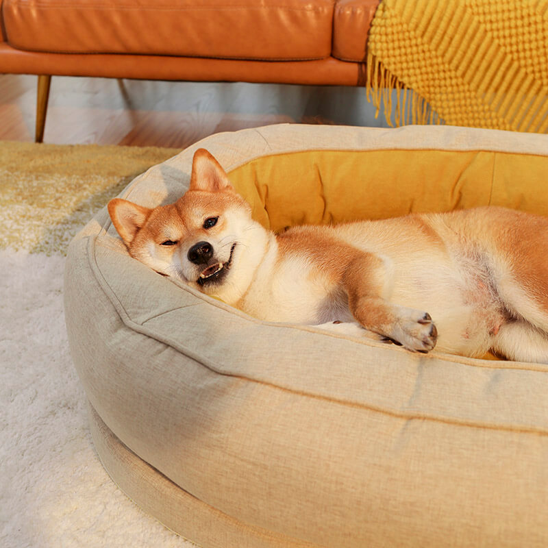 Dog Bed - Donut - MP