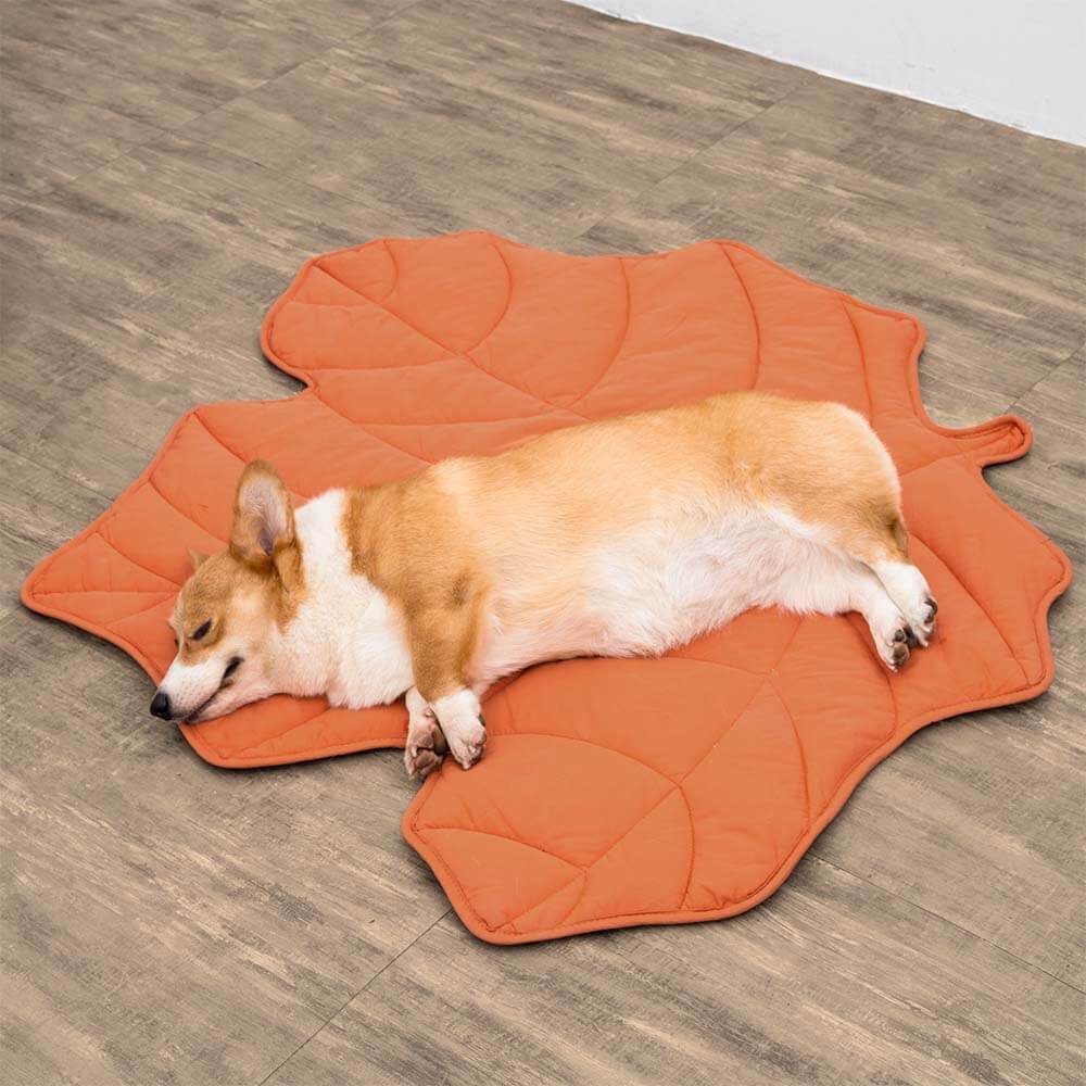 Pet bed Leaf print  - lounge rug Middlepet™