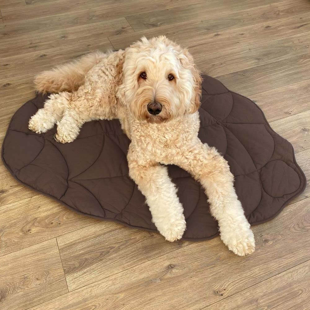 Pet bed Leaf print  - lounge rug Middlepet™