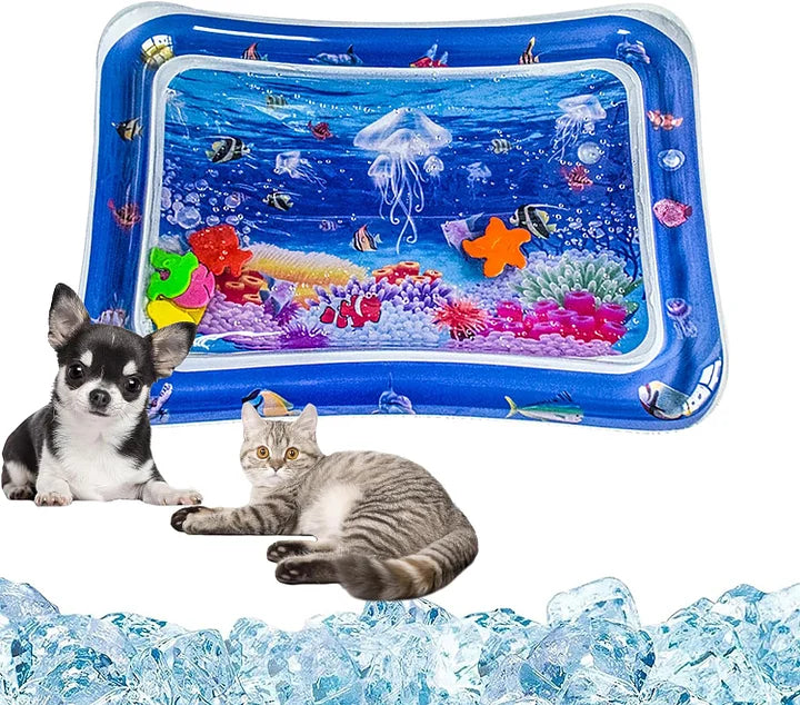 Sensory Water Play Mat for Pets Middlepet™