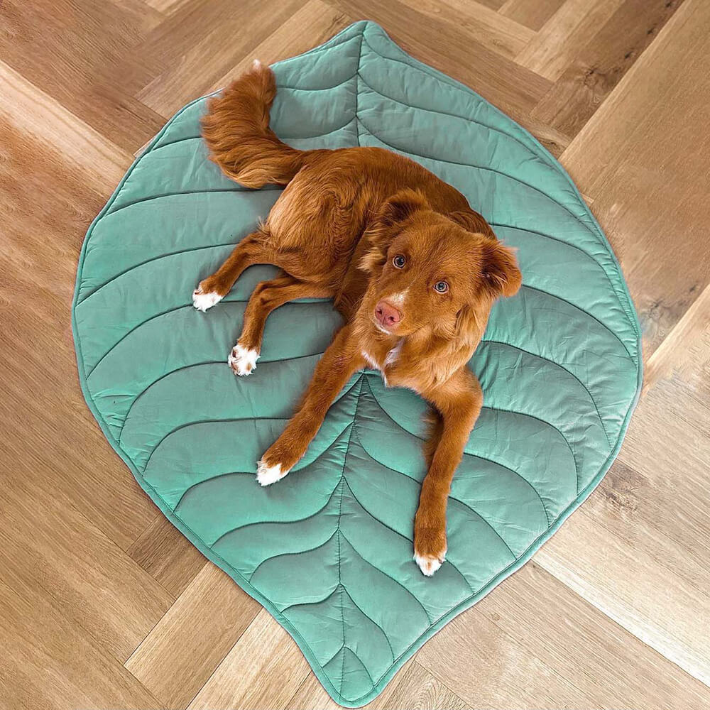 Pet bed Leaf print  - lounge rug Middlepet™